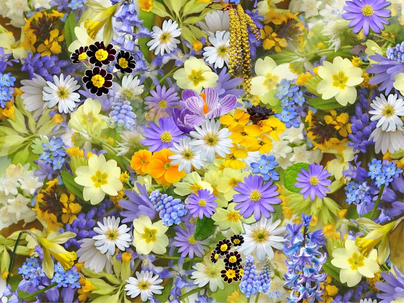 Whispering Willowbloom